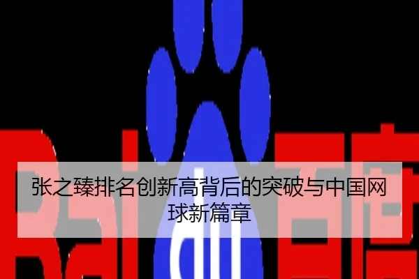 张之臻排名创新高背后的突破与中国网球新篇章