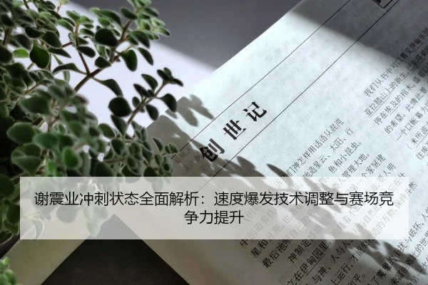 谢震业冲刺状态全面解析：速度爆发技术调整与赛场竞争力提升